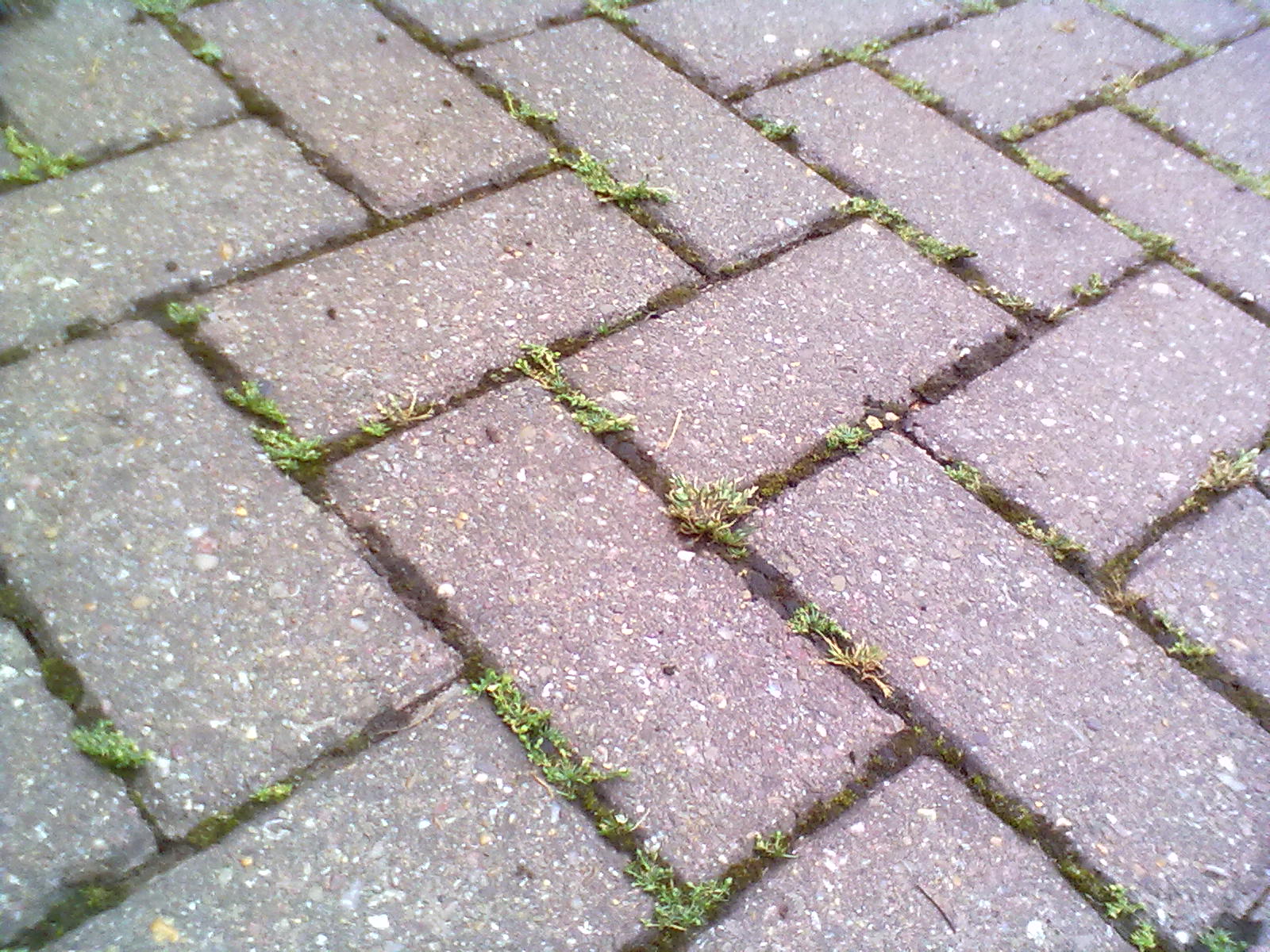 Driveway Cleaning - Before