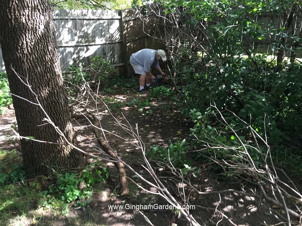 Garden Maintenance - Before
