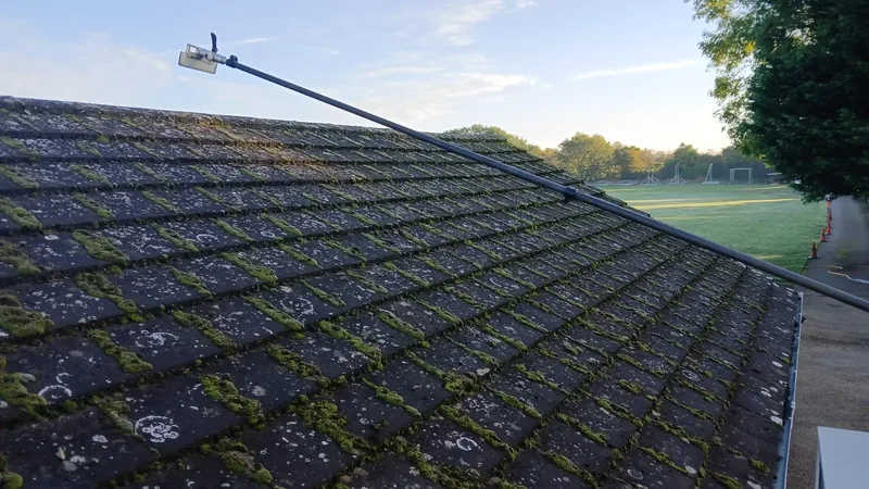 Roof Cleaning & Scraping