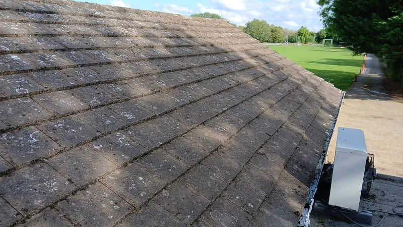 Roof Cleaning & Scraping — example 2