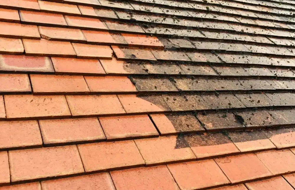 Roof Cleaning & Scraping — example 3