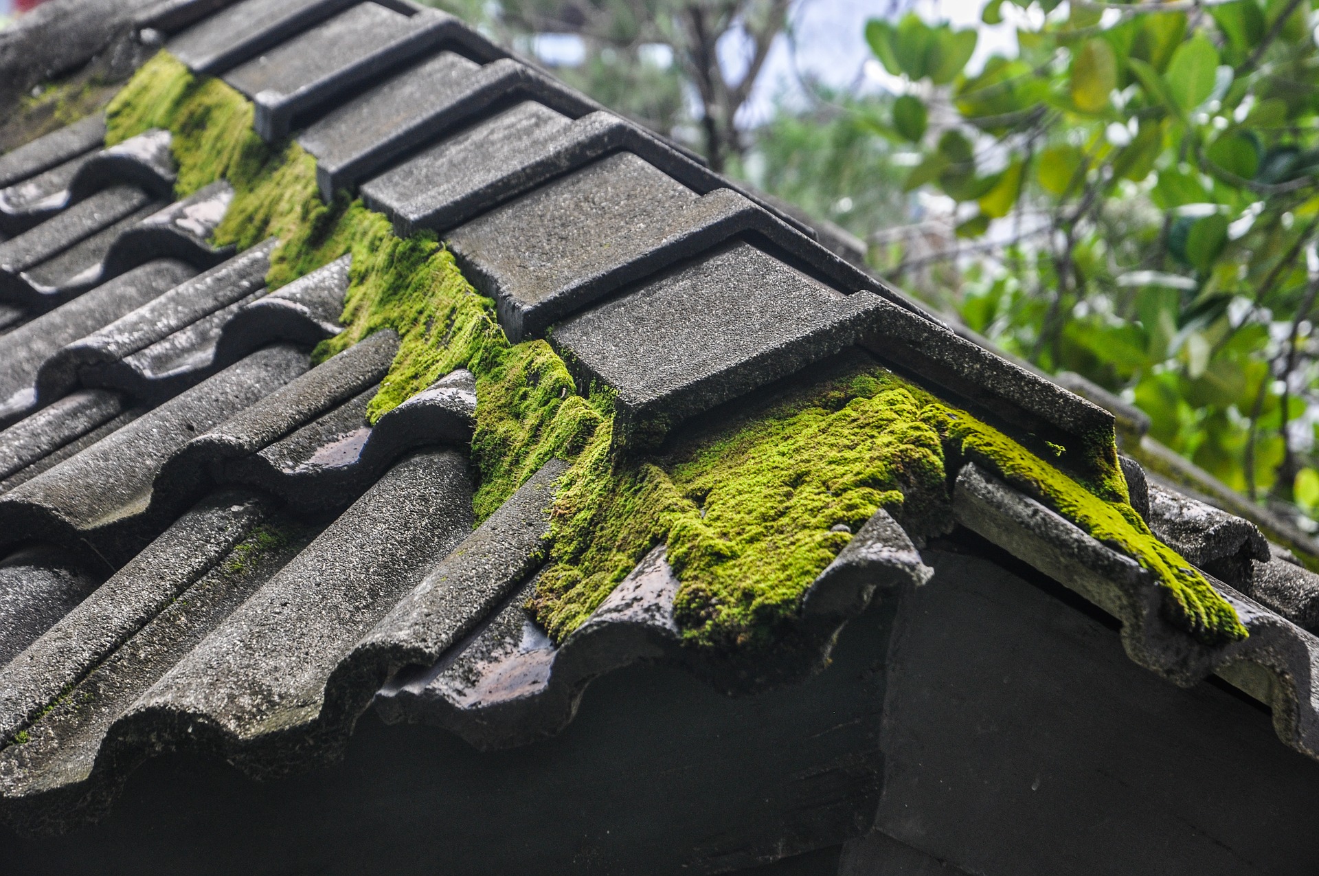 Roof Cleaning & Scraping — example 4