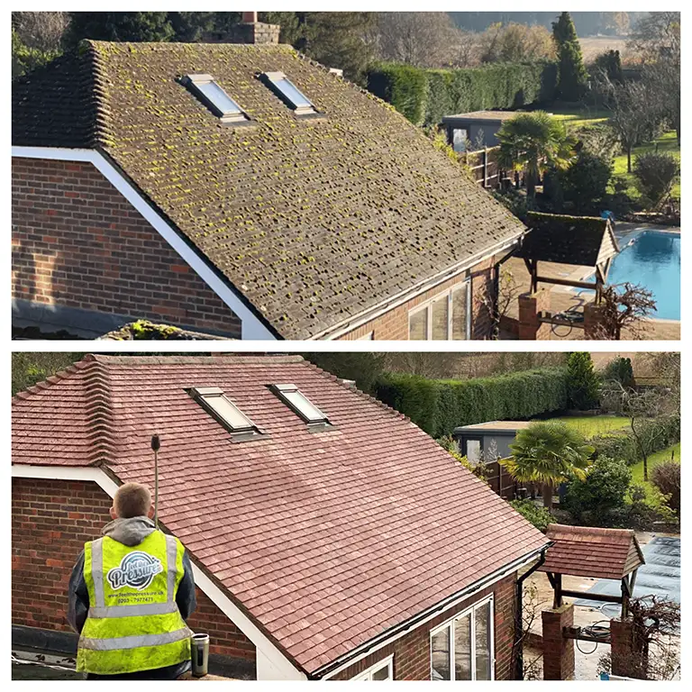 Roof Cleaning & Scraping — example 6