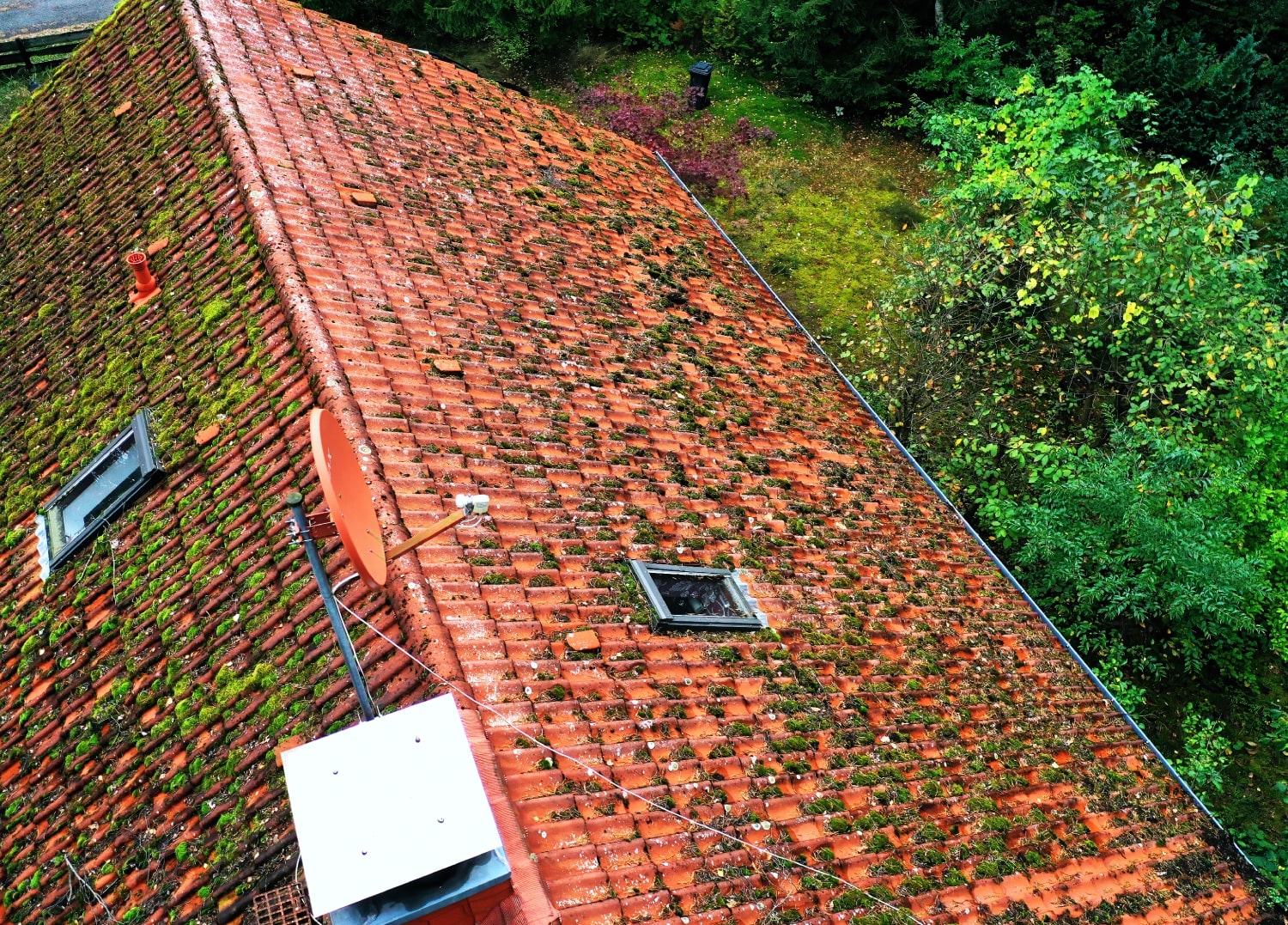 Roof Moss Removal