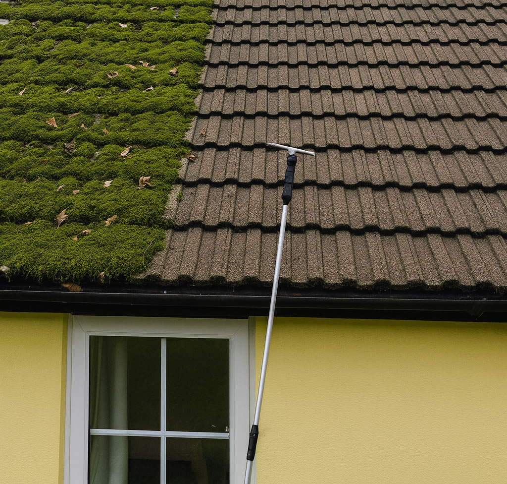 Roof Moss Removal — example 2