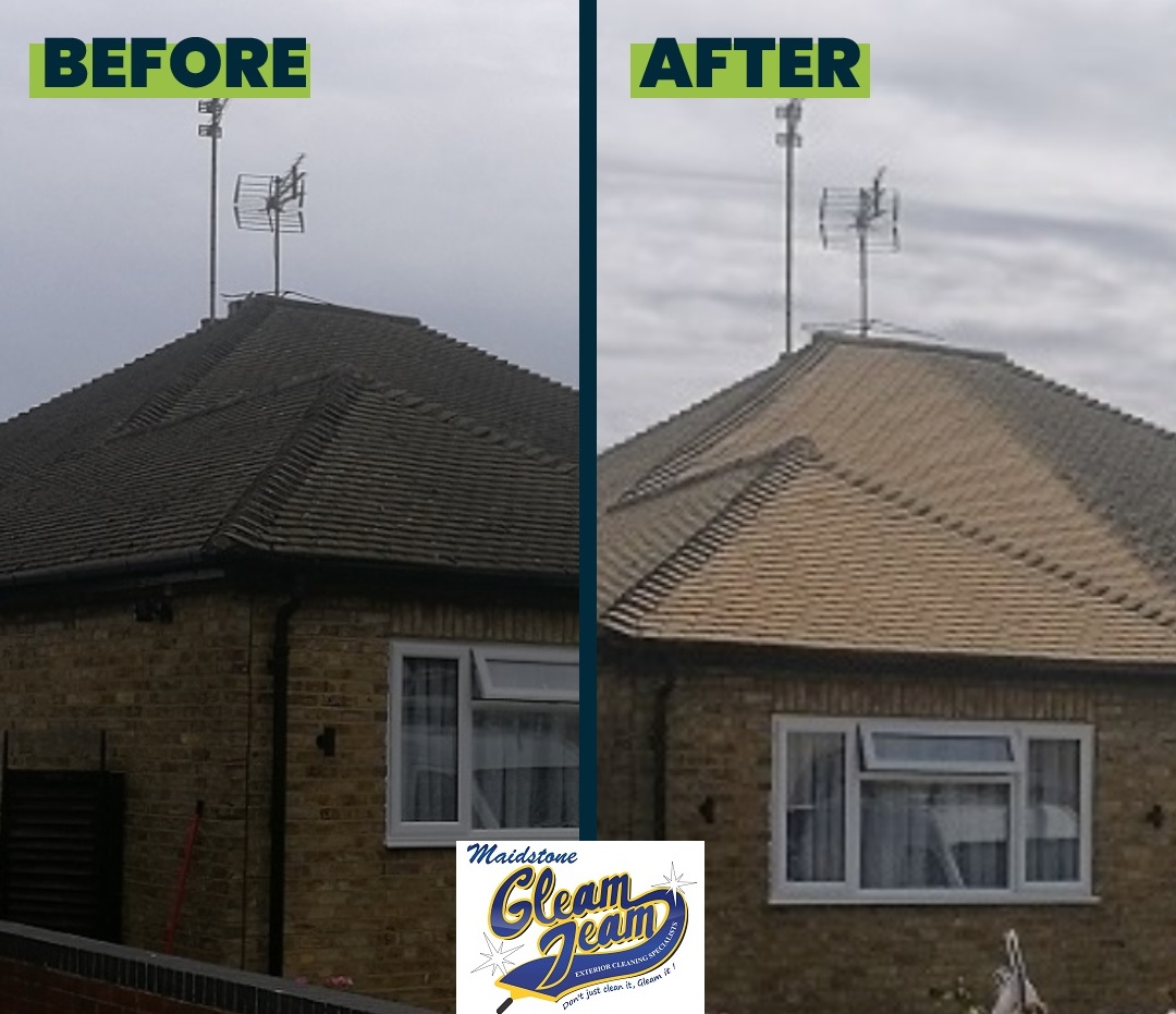 Roof Moss Removal — example 3