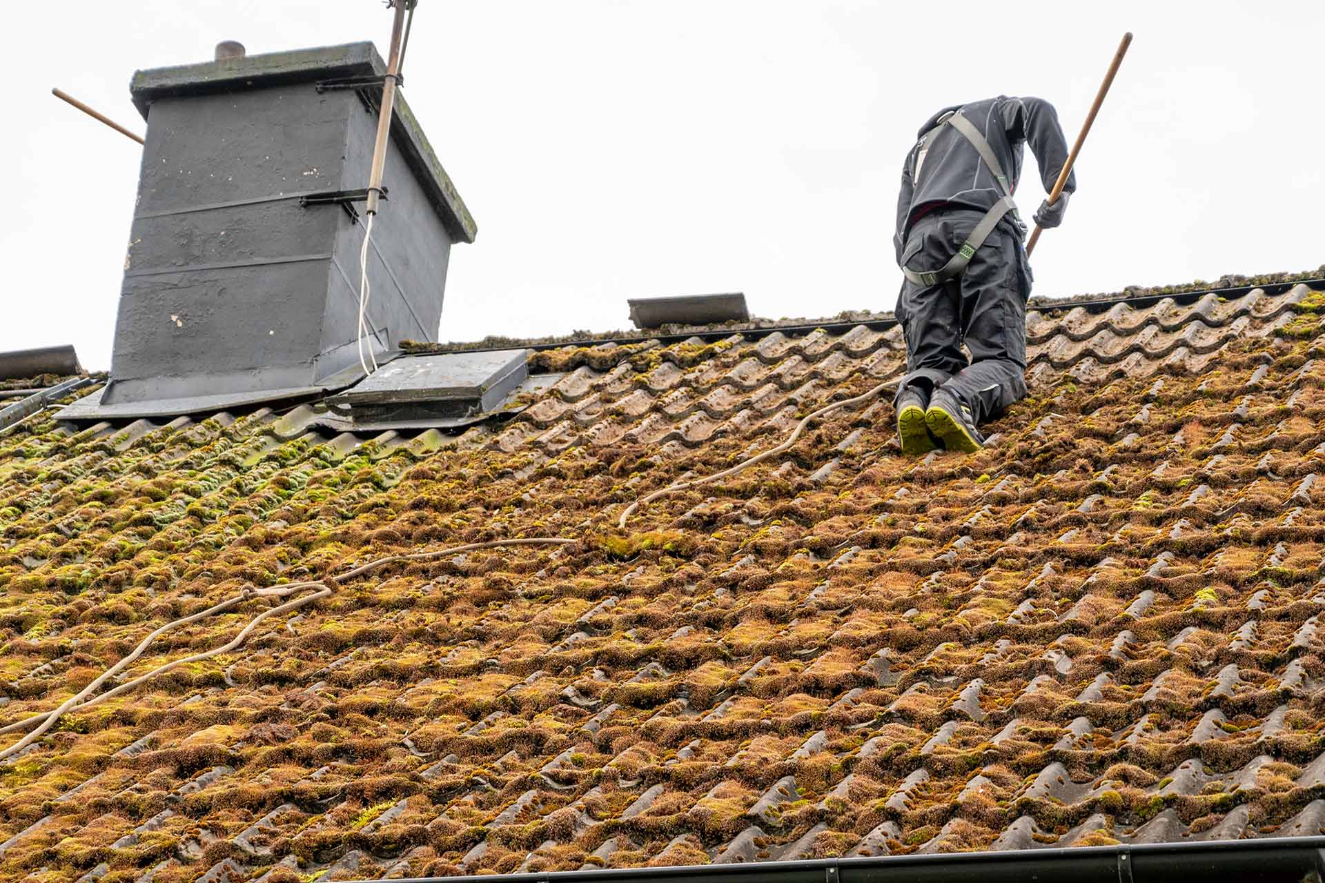 Roof Moss Removal — example 4