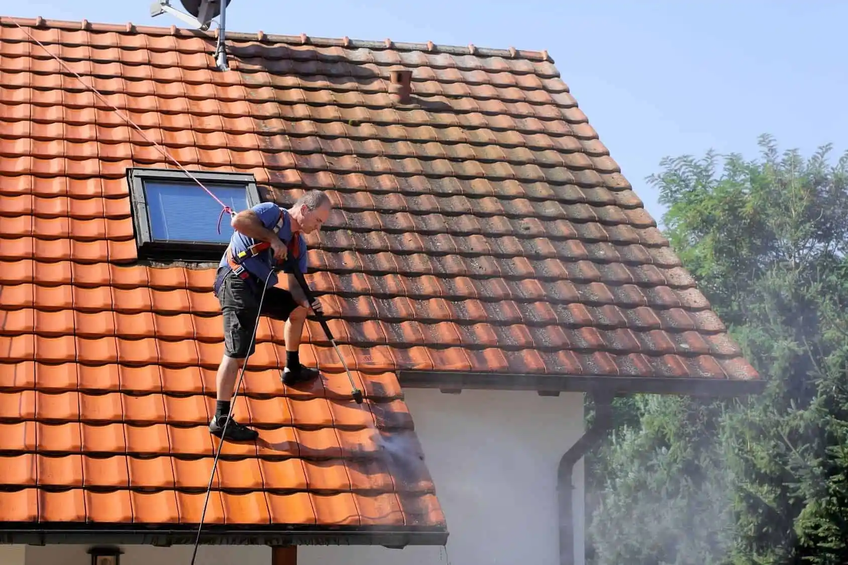 Roof Moss Removal — example 6