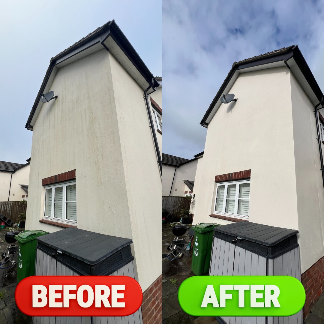 Steam Cleaning & Soft Washing