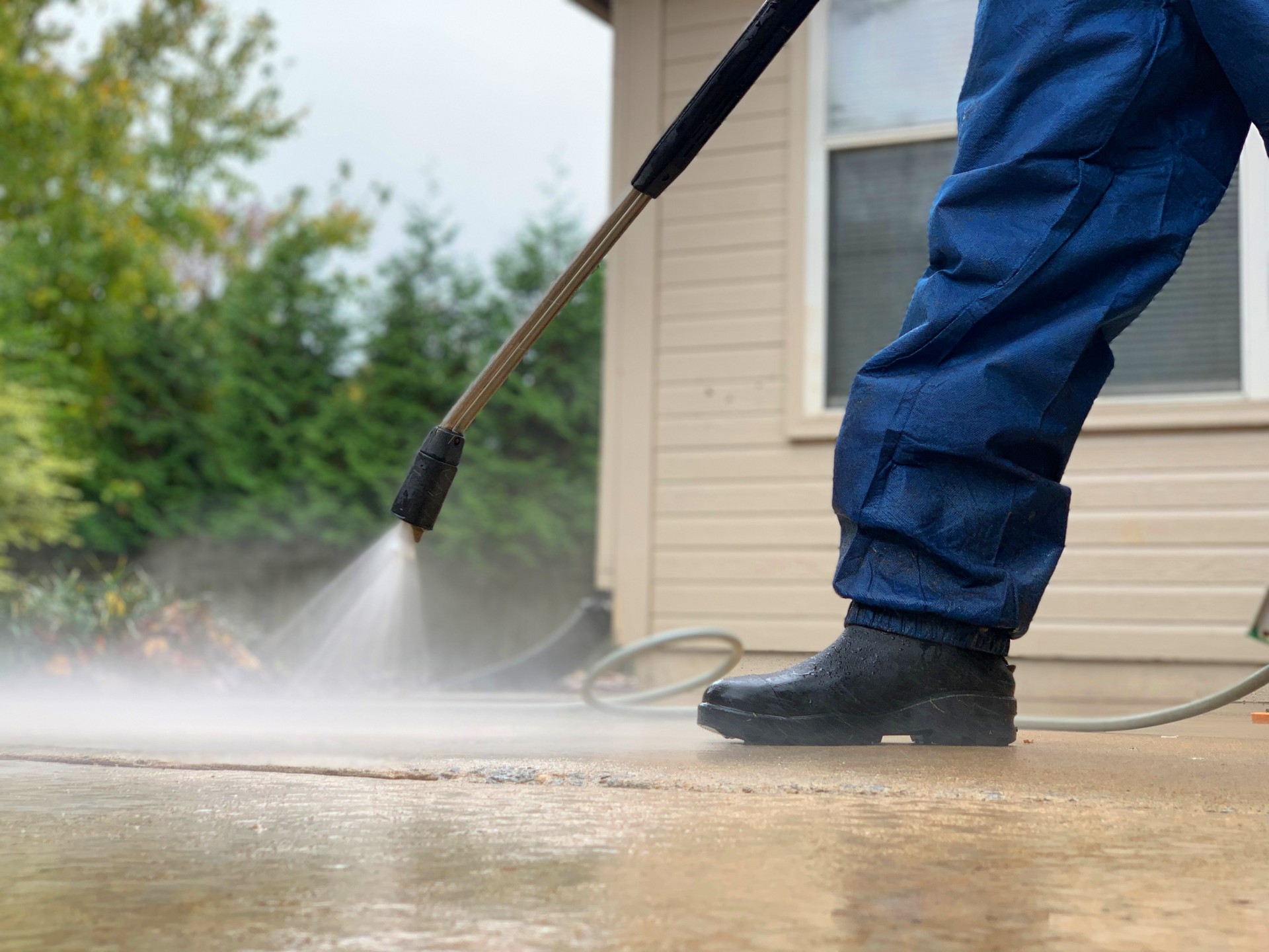 Moss, Algae & Weed Treatments